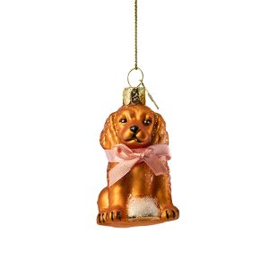 Labradoodle