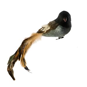 Samtvogel mit Federn