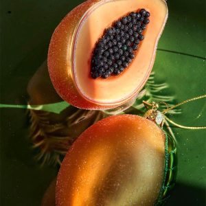 L1191581